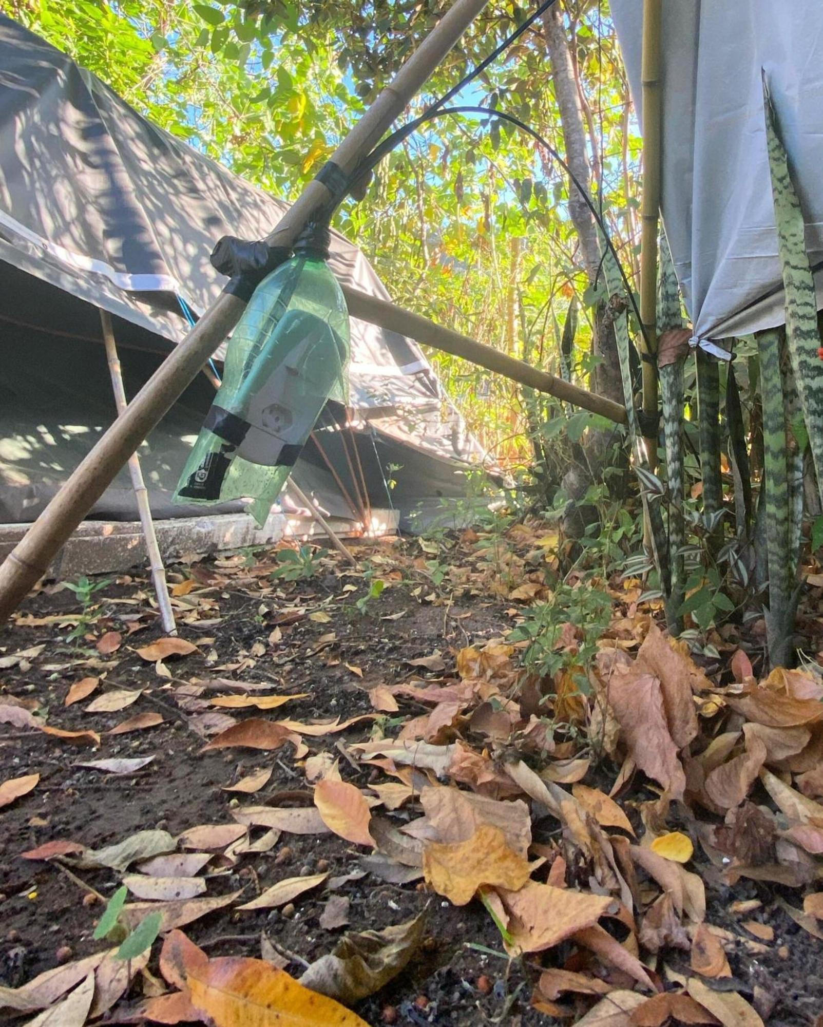 Camping Filhos Da Floresta - ואלה דה קפאו מראה חיצוני תמונה